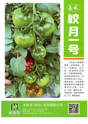 玉禾·皎月一号